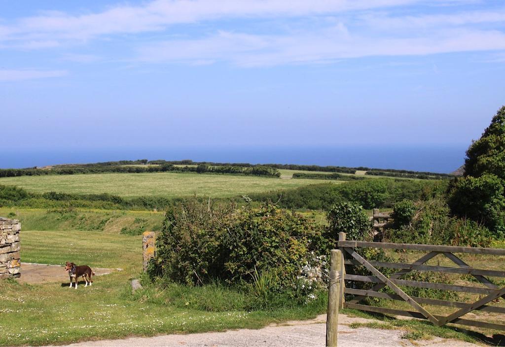 Higher Tresmorn Farm Bed & Breakfast Crackington Haven Exterior photo