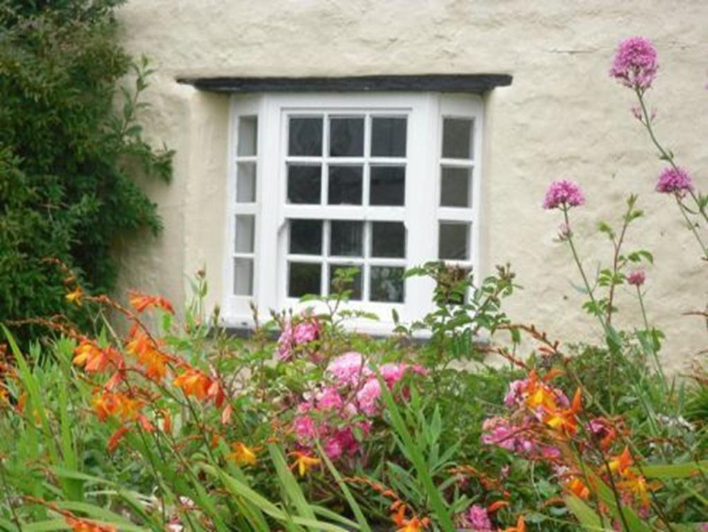 Higher Tresmorn Farm Bed & Breakfast Crackington Haven Exterior photo